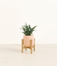 Load image into Gallery viewer, Gentle Pink stand:bamboo
