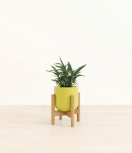 Load image into Gallery viewer, Key Lime Yellow stand:bamboo
