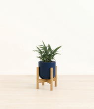 Load image into Gallery viewer, Twilight Blue stand:bamboo
