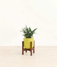 Load image into Gallery viewer, Key Lime Yellow stand:walnut
