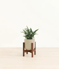 Load image into Gallery viewer, Sage Green stand:walnut
