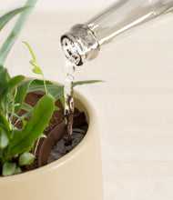 Load image into Gallery viewer, Almond Green stand:all
