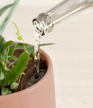 Load image into Gallery viewer, Calm Rose stand:all
