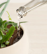 Load image into Gallery viewer, Shiny EggWhite stand:all
