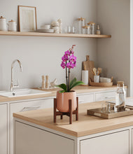 Load image into Gallery viewer, Calm Rose stand:walnut
