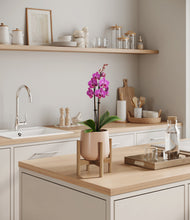 Load image into Gallery viewer, Gentle Pink stand:bamboo
