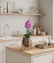 Load image into Gallery viewer, Olive stand:bamboo
