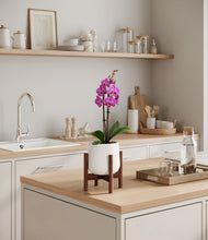 Load image into Gallery viewer, White stand:walnut

