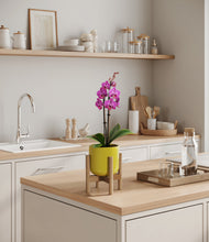 Load image into Gallery viewer, Key Lime Yellow stand:bamboo
