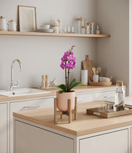 Load image into Gallery viewer, Sandy Pink stand:bamboo

