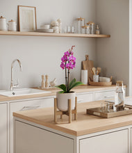 Load image into Gallery viewer, Snowdrift White stand:bamboo
