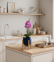 Load image into Gallery viewer, Twilight Blue stand:bamboo
