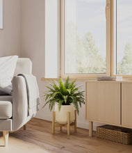 Load image into Gallery viewer, Almond Green stand:light
