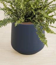 Load image into Gallery viewer, Deep Navy stand:all
