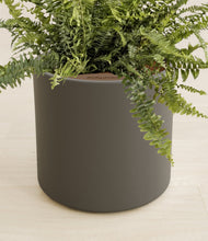 Load image into Gallery viewer, Dark Olive stand:all
