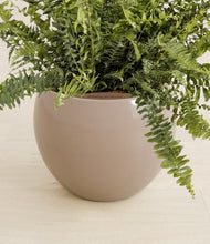 Load image into Gallery viewer, Desert Brown stand:all

