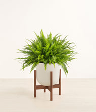 Load image into Gallery viewer, Natural Bamboo stand:dark
