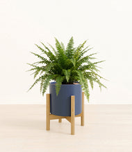 Load image into Gallery viewer, Deep Navy stand:light
