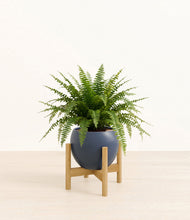 Load image into Gallery viewer, Deep Navy stand:light
