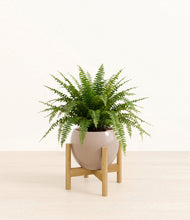 Load image into Gallery viewer, Desert Brown stand:light

