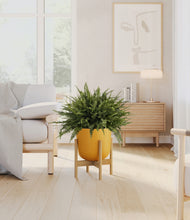 Load image into Gallery viewer, Sunset Orange stand:bamboo
