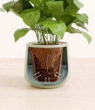 Load image into Gallery viewer, Turquoise stand:all
