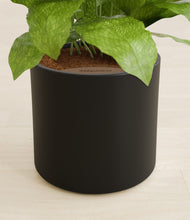 Load image into Gallery viewer, Black stand:all
