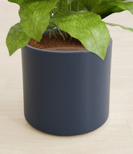 Load image into Gallery viewer, Deep Navy stand:all
