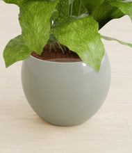 Load image into Gallery viewer, Deep Ocean stand:all
