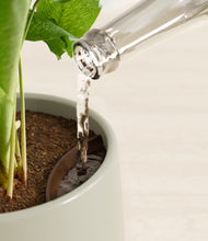 Load image into Gallery viewer, Turquoise stand:all
