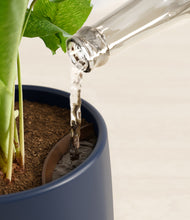 Load image into Gallery viewer, Deep Navy stand:all
