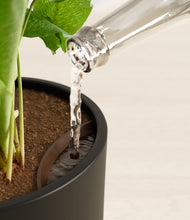 Load image into Gallery viewer, Black stand:all
