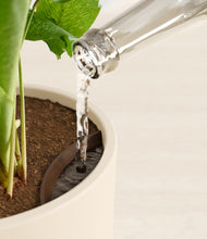 Load image into Gallery viewer, Cream stand:all
