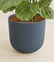 Load image into Gallery viewer, Iron Gray stand:all
