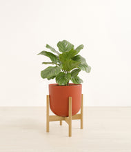 Load image into Gallery viewer, Earth Red stand:bamboo
