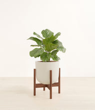 Load image into Gallery viewer, Natural Bamboo stand:walnut
