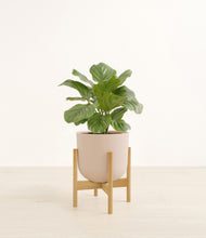 Load image into Gallery viewer, Sandy Pink stand:bamboo
