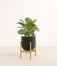 Load image into Gallery viewer, Stone Black stand:bamboo
