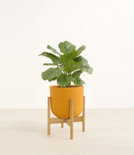 Load image into Gallery viewer, Sunset Orange stand:bamboo
