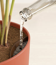 Load image into Gallery viewer, -
