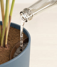 Load image into Gallery viewer, -
