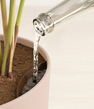 Load image into Gallery viewer, -
