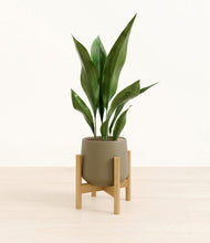 Load image into Gallery viewer, Olive stand:bamboo
