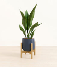 Load image into Gallery viewer, Deep Navy stand:bamboo
