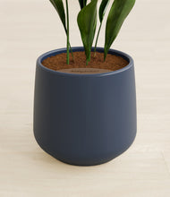 Load image into Gallery viewer, Deep Navy stand:all
