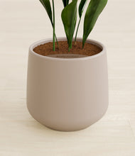 Load image into Gallery viewer, Eternal Gray stand:all
