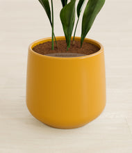 Load image into Gallery viewer, Mustard stand:all
