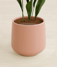 Load image into Gallery viewer, Calm Rose stand:all
