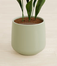 Load image into Gallery viewer, Turquoise stand:all
