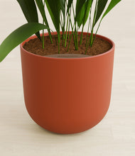 Load image into Gallery viewer, Earth Red stand:all
